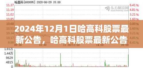 哈高科股票最新公告深度解析,产品特性、用户体验与目标用户群体分析(2024年12月版)