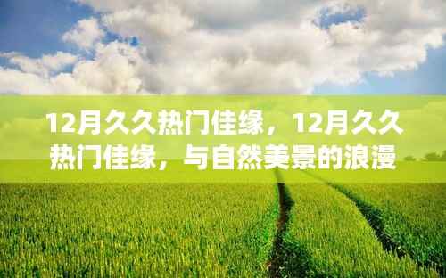 12月久久热门佳缘,与自然美景的浪漫邂逅,踏寻内心平和之旅