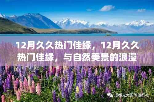 12月久久热门佳缘,与自然美景的浪漫邂逅,踏寻内心平和之旅