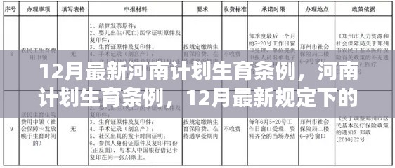 河南最新计划生育条例及申请流程详解(十二月最新版)