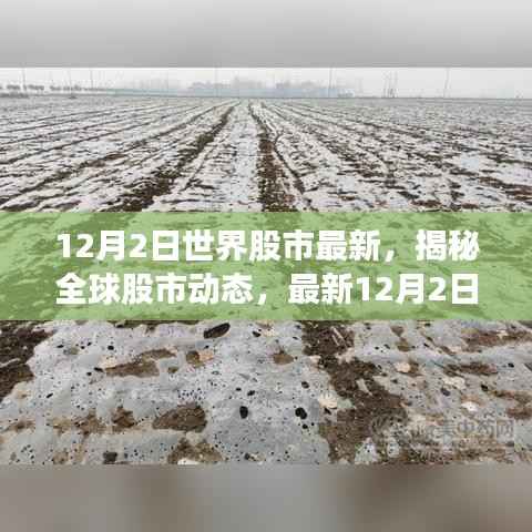 揭秘全球股市动态,深度解析最新世界股市行情(12月2日)
