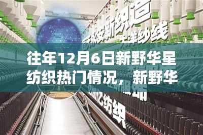 揭秘新野华星纺织革新篇章,十二月六日科技热潮背后的智能系统探索之旅