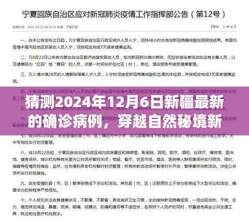 2024年12月新疆疫情预测与心灵之旅,穿越自然秘境,探寻宁静之地