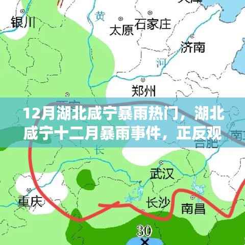 湖北咸宁十二月暴雨事件，正反观点分析与个人立场探讨