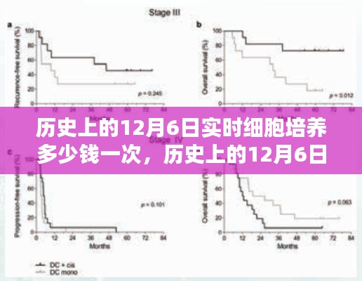 历史上的12月6日实时细胞培养费用探讨，一次的费用及其影响分析