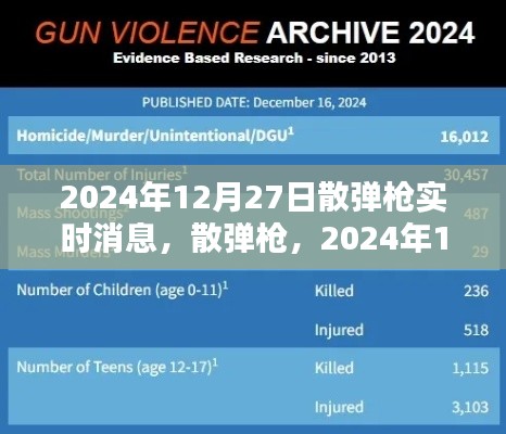 2024年12月27日散弹枪实时消息,枪支动态与深远影响