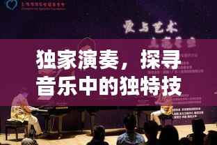 独家演奏,探寻音乐中的独特技能