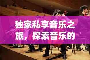 独家私享音乐之旅,探索音乐的私密世界