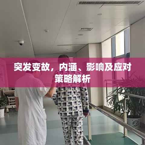 突发变故,内涵、影响及应对策略解析