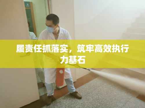 履责任抓落实,筑牢高效执行力基石