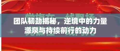团队韧劲揭秘,逆境中的力量源泉与持续前行的动力