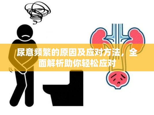 尿意频繁的原因及应对方法,全面解析助你轻松应对