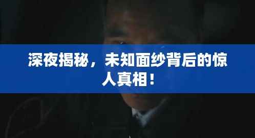深夜揭秘，未知面纱背后的惊人真相！