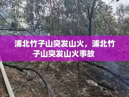 浦北竹子山突发山火,浦北竹子山突发山火事故