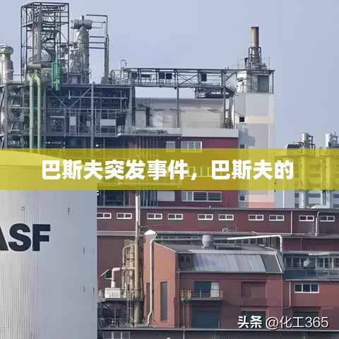 巴斯夫突发事件，巴斯夫的 