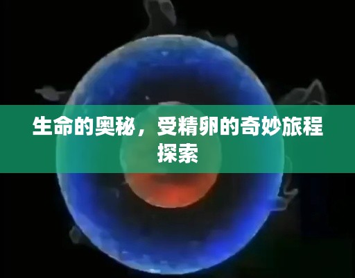 生命的奥秘,受精卵的奇妙旅程探索