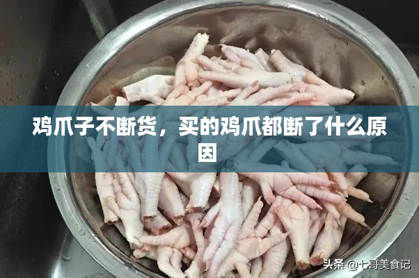 鸡爪子不断货,买的鸡爪都断了什么原因