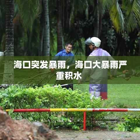 海口突发暴雨,海口大暴雨严重积水