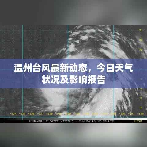 温州台风最新动态,今日天气状况及影响报告