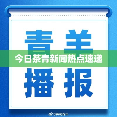 今日茶青新闻热点速递