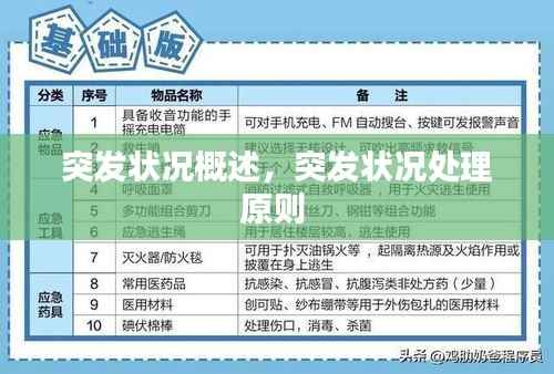 突发状况概述,突发状况处理原则