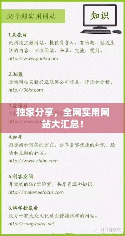 独家分享,全网实用网站大汇总!