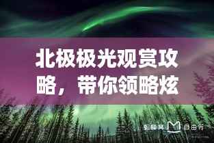 北极极光观赏攻略,带你领略炫目光芒之旅!