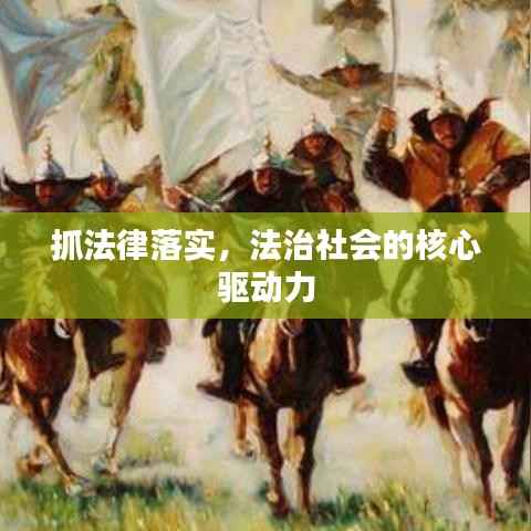 抓法律落实,法治社会的核心驱动力