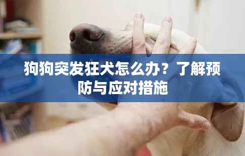 狗狗突发狂犬怎么办?了解预防与应对措施