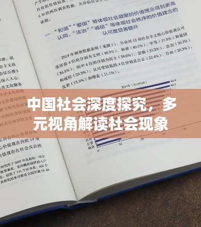 中国社会深度探究,多元视角解读社会现象