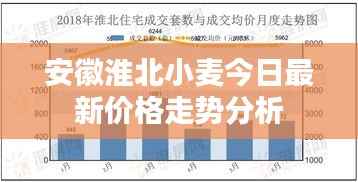 安徽淮北小麦今日最新价格走势分析
