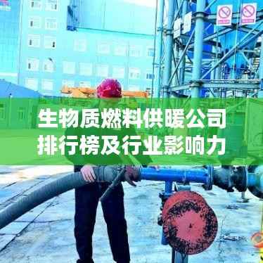 生物质燃料供暖公司排行榜及行业影响力解析