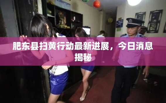 肥东县扫黄行动最新进展,今日消息揭秘