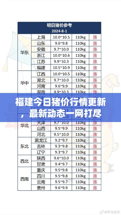 福建今日猪价行情更新,最新动态一网打尽