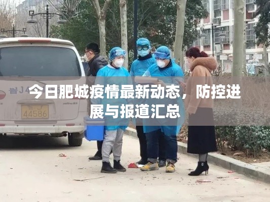 今日肥城疫情最新动态,防控进展与报道汇总