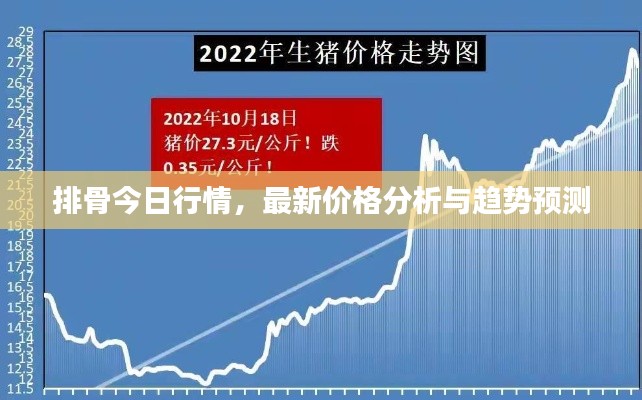 排骨今日行情,最新价格分析与趋势预测