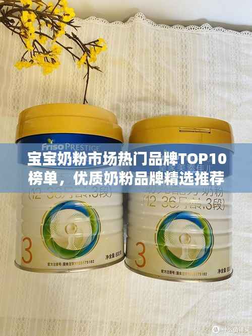 宝宝奶粉市场热门品牌TOP10榜单,优质奶粉品牌精选推荐