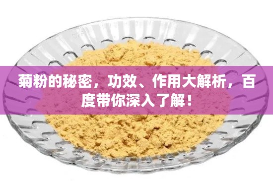 菊粉的秘密,功效、作用大解析,百度带你深入了解!