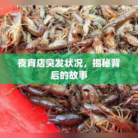 夜宵店突发状况,揭秘背后的故事