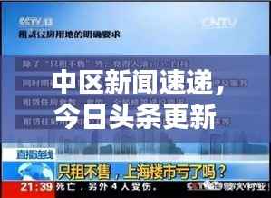 bainiaozhaofeng 第5页