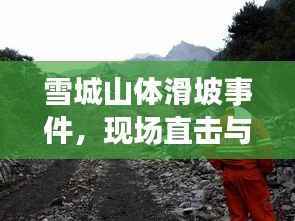 雪城山体滑坡事件,现场直击与救援纪实