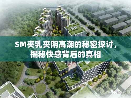 SM夹乳夹阴高潮的秘密探讨,揭秘快感背后的真相