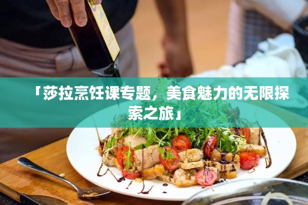 「莎拉烹饪课专题,美食魅力的无限探索之旅」