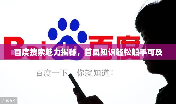 百度搜索魅力揭秘,首页知识轻松触手可及