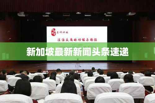 新加坡最新新闻头条速递