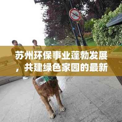 苏州环保事业蓬勃发展，共建绿色家园的最新动态