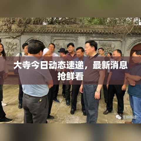 大寺今日动态速递,最新消息抢鲜看