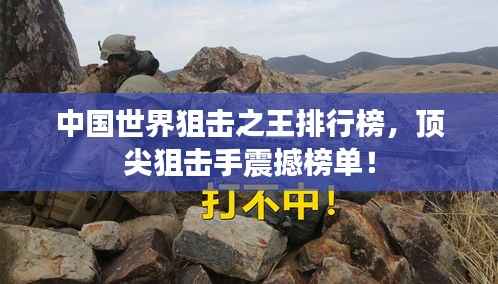 中国世界狙击之王排行榜,顶尖狙击手震撼榜单!