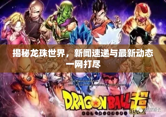 揭秘龙珠世界,新闻速递与最新动态一网打尽