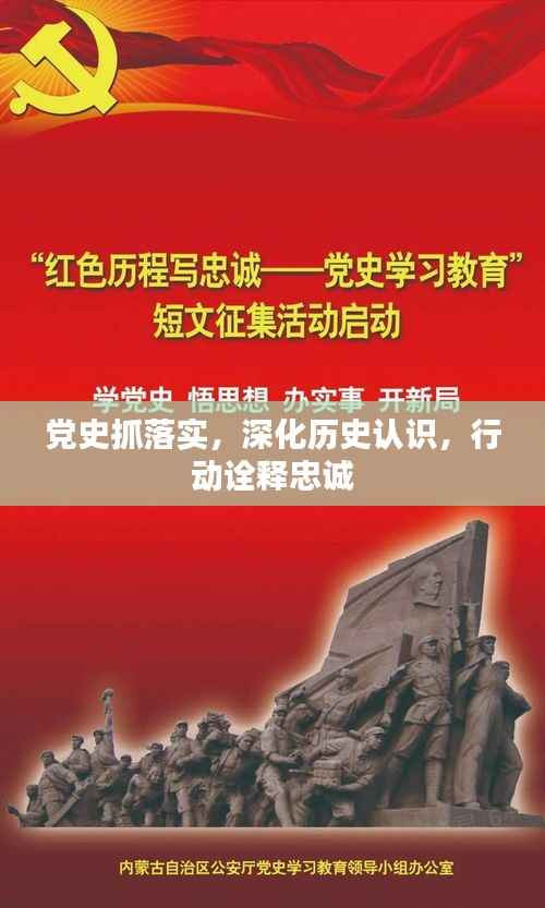 党史抓落实,深化历史认识,行动诠释忠诚